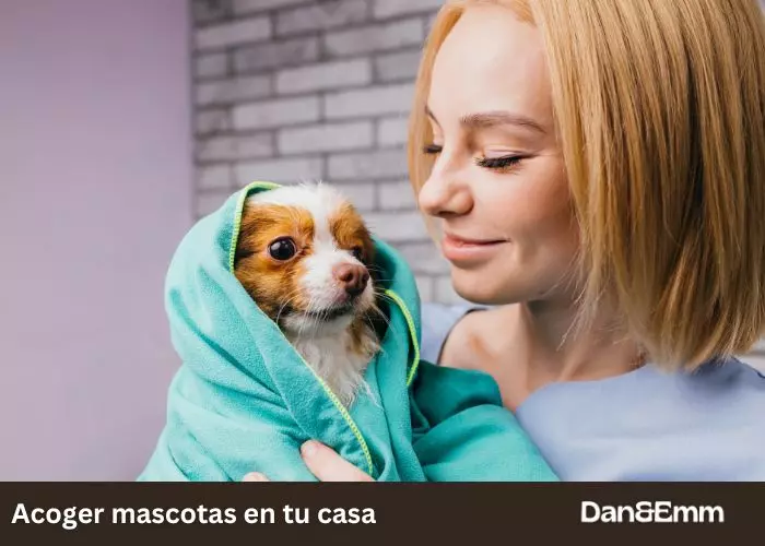 Acoger mascotas en tu casa